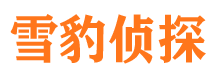 安县市侦探调查公司